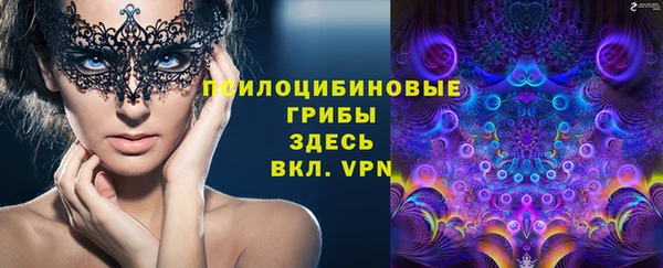 a pvp Новокубанск