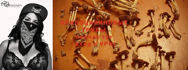 a pvp Новодвинск