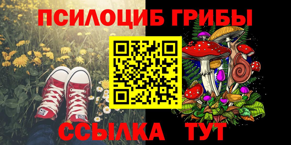 Псилоцибиновые грибы GOLDEN TEACHER  Павловский Посад  Галлюциногенные грибы Cubensis 