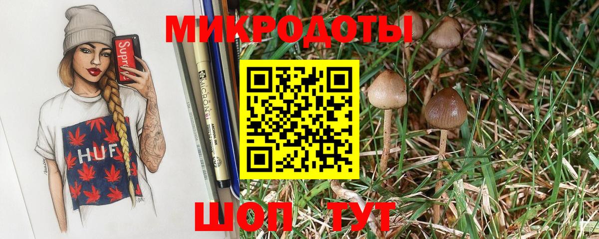 Галлюциногенные грибы Psilocybe  Псилоцибиновые грибы Psilocybine cubensis  Вход с VPN  Павловский Посад 