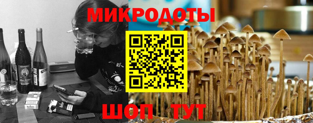 Псилоцибиновые грибы ЛСД Павловский Посад
