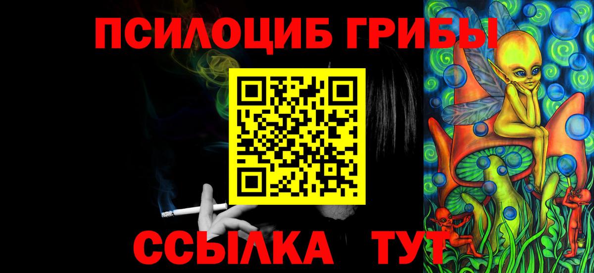 Псилоцибиновые грибы прущие грибы Павловский Посад