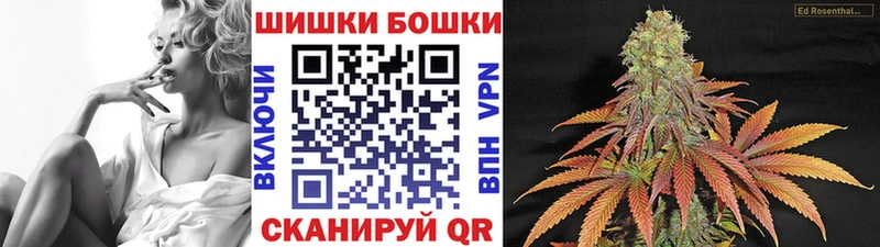 Бошки марихуана THC 21%  мега ТОР  Павловский Посад 